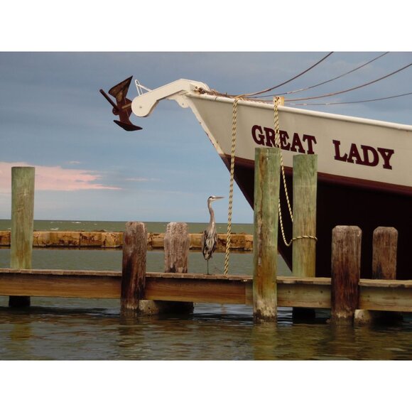 Samsung WB1100F Digital Camera 16.4MP 35x Optical Zoom HD Video WiFi NFC Red - Picture 7 of 16